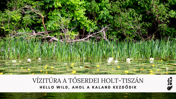 #vizitúra #kenutura #Hellowild #túra #Tisza #Magyarország